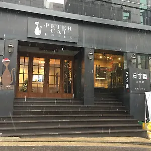 3* Hotel Petercat Shinchon